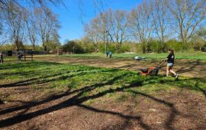 Préparation du terrain