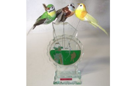 Tir à l'oiseau : le 10 juin 2012