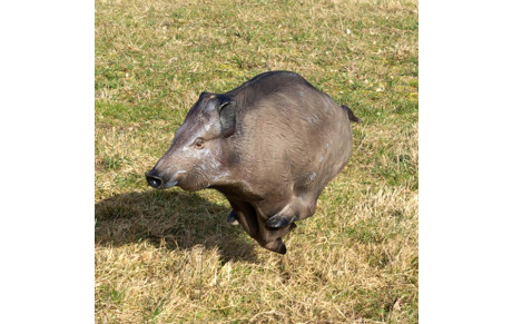 Longwy : On passe à la 3D