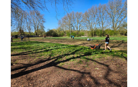 Préparation du terrain